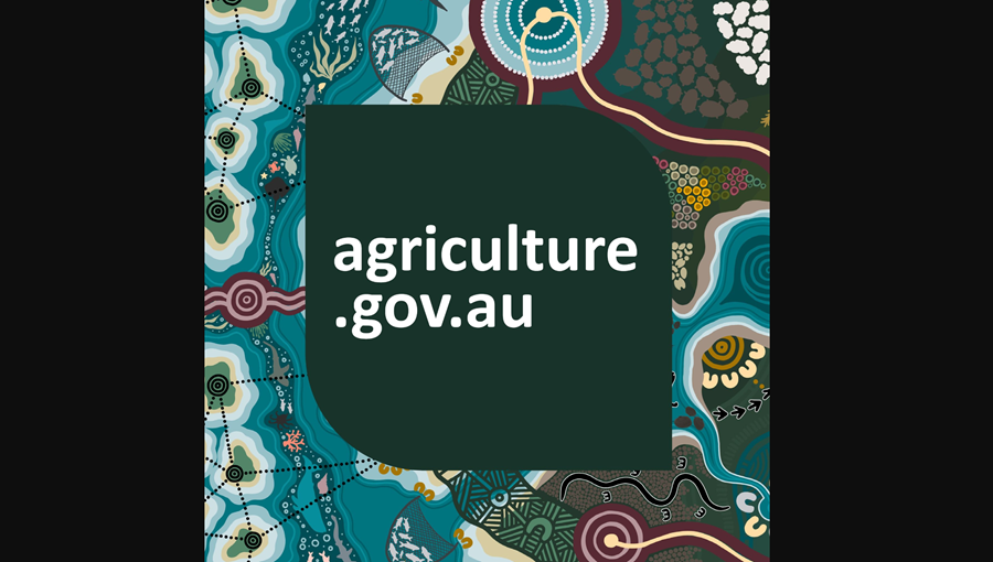 Department of Agriculture, Fisheries and Forestry appoints Media Director
